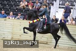 23R13_16479 thumbnail