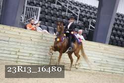 23R13_16480 thumbnail