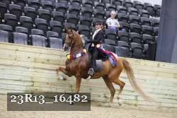 23R13_16482 thumbnail