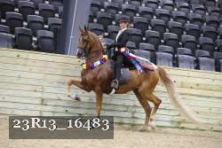23R13_16483 thumbnail
