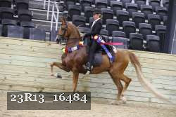 23R13_16484 thumbnail