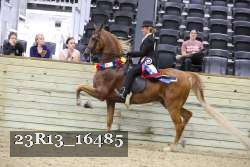 23R13_16485 thumbnail