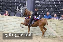 23R13_16486 thumbnail