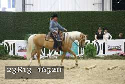 23R13_16520 thumbnail