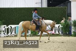 23R13_16522 thumbnail