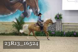 23R13_16524 thumbnail