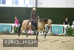 23R13_16530 thumbnail