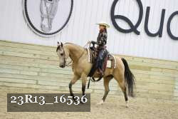 23R13_16536 thumbnail