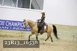 23R13_16538 thumbnail