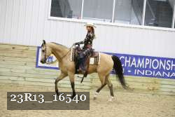 23R13_16540 thumbnail