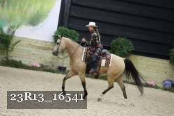 23R13_16541 thumbnail