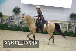 23R13_16546 thumbnail