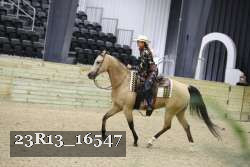 23R13_16547 thumbnail