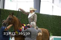 23R13_16550 thumbnail
