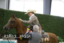 23R13_16551 thumbnail