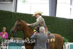 23R13_16552 thumbnail