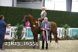 23R13_16554 thumbnail