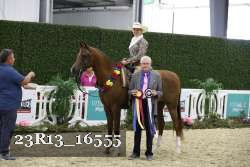 23R13_16555 thumbnail