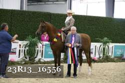 23R13_16556 thumbnail