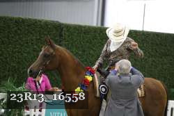 23R13_16558 thumbnail