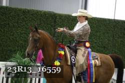 23R13_16559 thumbnail