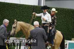 23R13_16562 thumbnail