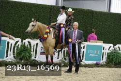 23R13_16569 thumbnail