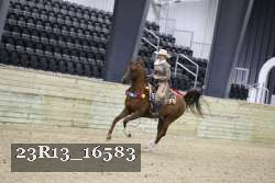 23R13_16583 thumbnail