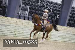 23R13_16585 thumbnail