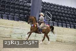 23R13_16587 thumbnail