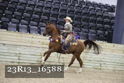 23R13_16588 thumbnail