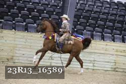 23R13_16589 thumbnail