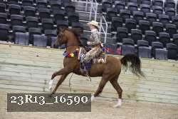 23R13_16590 thumbnail