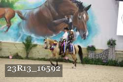 23R13_16592 thumbnail