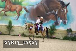 23R13_16593 thumbnail