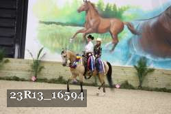 23R13_16594 thumbnail