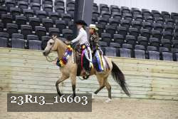 23R13_16603 thumbnail