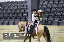 23R13_16611 thumbnail