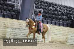 23R13_16612 thumbnail