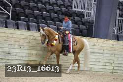 23R13_16613 thumbnail