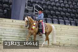 23R13_16614 thumbnail