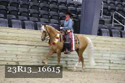 23R13_16615 thumbnail