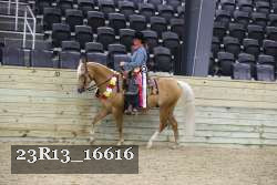 23R13_16616 thumbnail