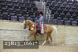 23R13_16617 thumbnail