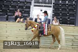 23R13_16618 thumbnail