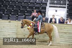 23R13_16619 thumbnail
