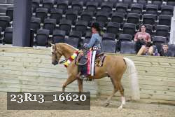 23R13_16620 thumbnail