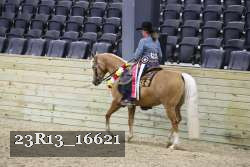 23R13_16621 thumbnail