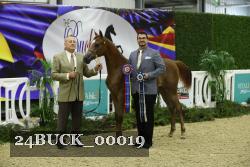 24BUCK_00019 thumbnail