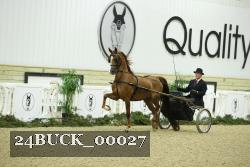 24BUCK_00027 thumbnail